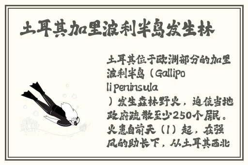 新版金银瓶2023